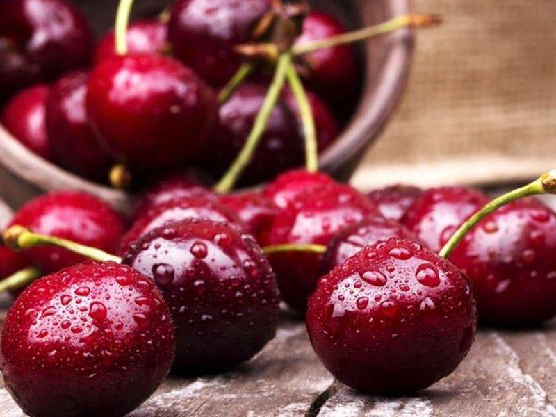 Вишня купить саженцы из питомника в Ярцеве